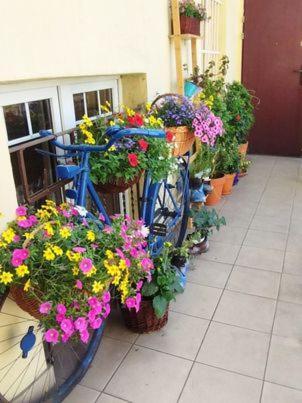 Miodowa Kazimierz Apartment Krakow Ngoại thất bức ảnh