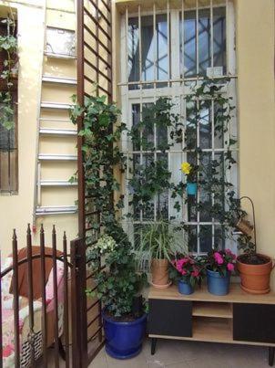 Miodowa Kazimierz Apartment Krakow Ngoại thất bức ảnh
