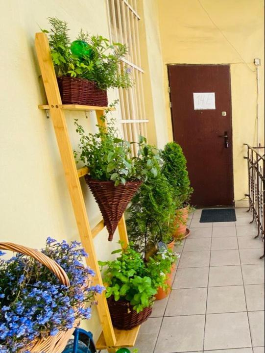 Miodowa Kazimierz Apartment Krakow Ngoại thất bức ảnh